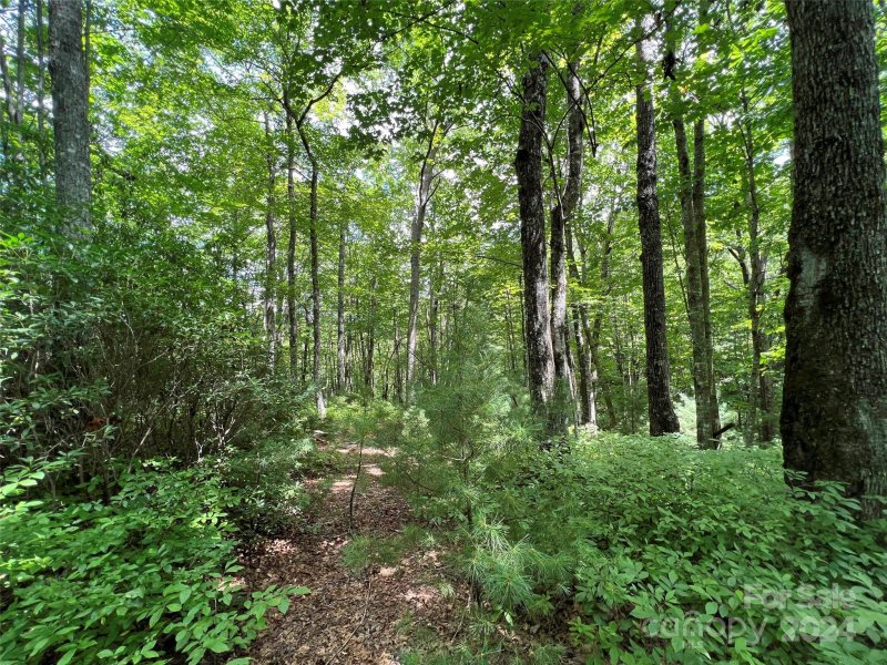 Property image 3 of 0000 Courtney Court in Big Hill, Brevard, NC 28712