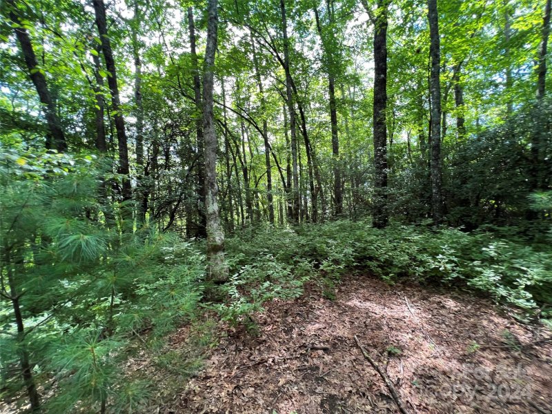 Property image 4 of 0000 Courtney Court in Big Hill, Brevard, NC 28712