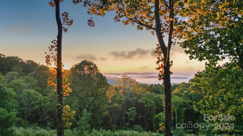 Property image 4 at 158 Laurel Ledge Way, Fletcher, NC 28732