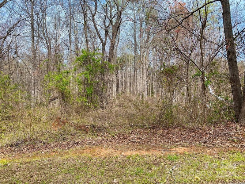 Property image 4 at 0 Westridge Drive, Lake Lure, NC 28746