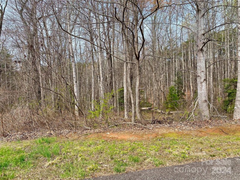 Property image 5 at 0 Westridge Drive, Lake Lure, NC 28746