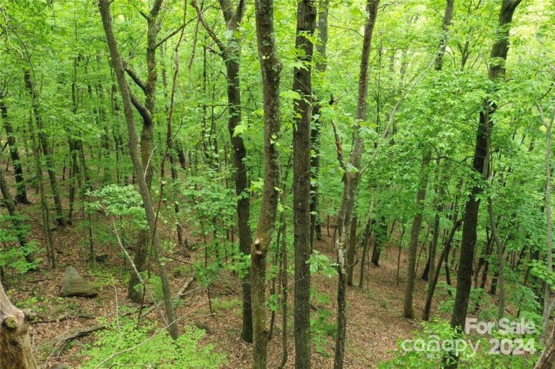 Property image 4 at 103 Red Oak Drive, Mills River, NC 28759