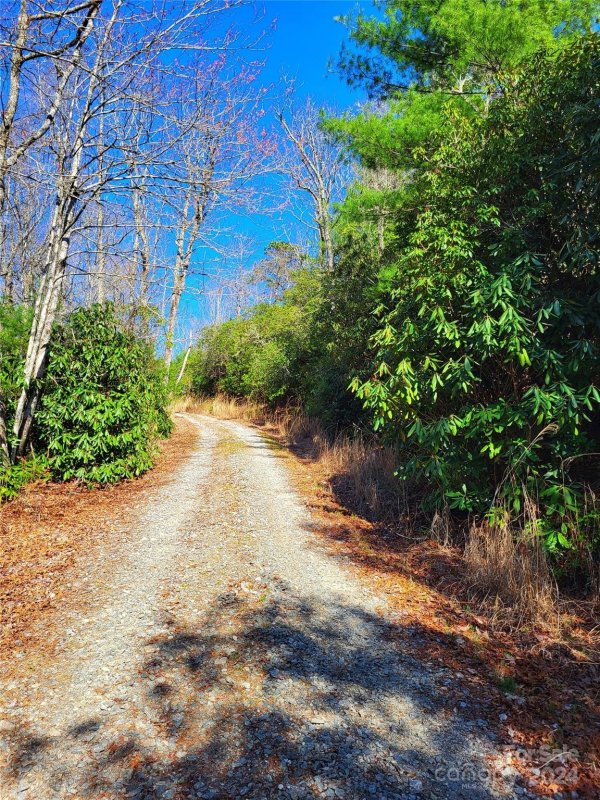 Property image 3 of Lot D1 000 Dogwood Lane in Dogwood Mountain Estates, Penrose, NC 28766