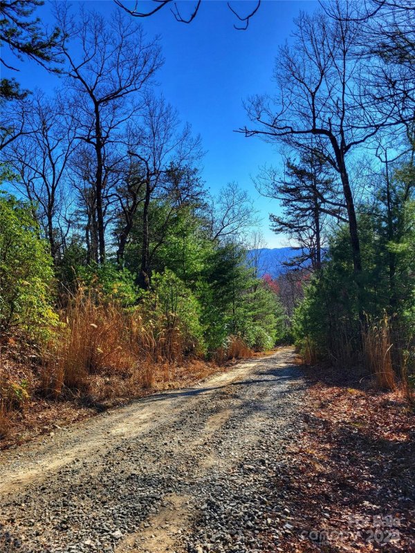 Property image 4 of Lot D1 000 Dogwood Lane in Dogwood Mountain Estates, Penrose, NC 28766