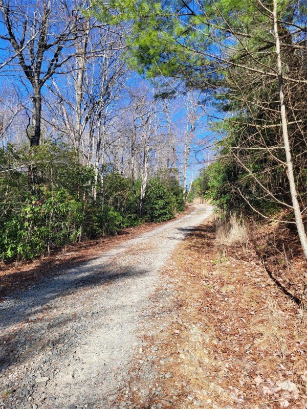 Property image 5 of Lot D1 000 Dogwood Lane in Dogwood Mountain Estates, Penrose, NC 28766
