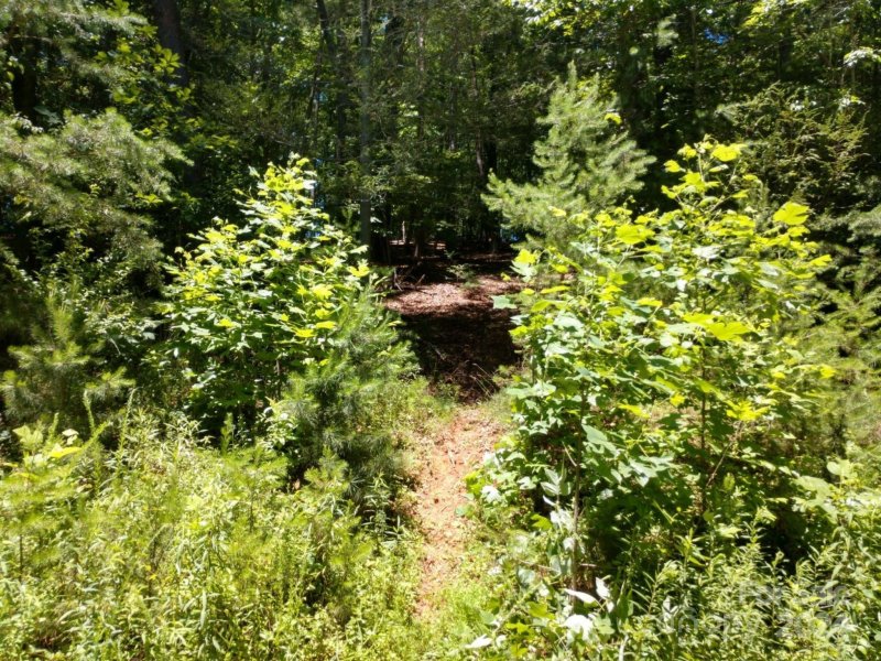 Property image 3 at 00 James View Road, Marion, NC 28752