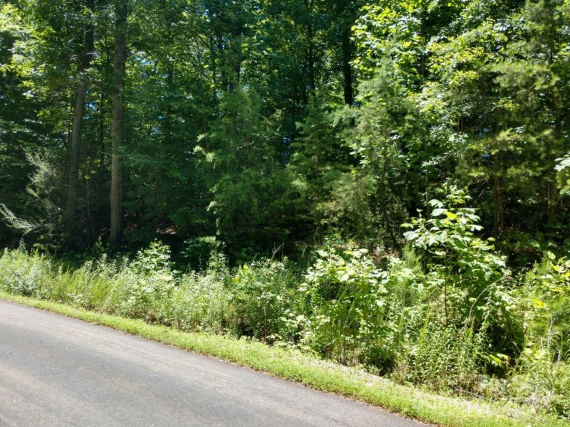 Property image 5 at 00 James View Road, Marion, NC 28752