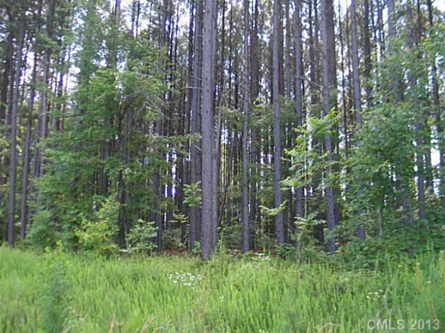 Property image 2 at 00 Outlook Drive, Iron Station, NC 28080