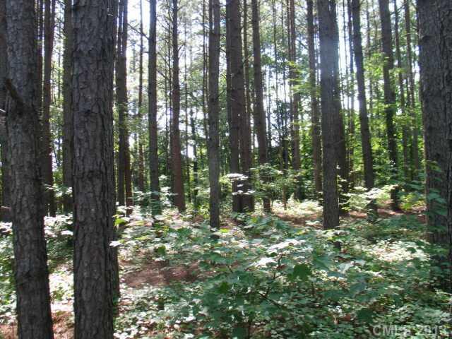 Property image 3 at 00 Outlook Drive, Iron Station, NC 28080