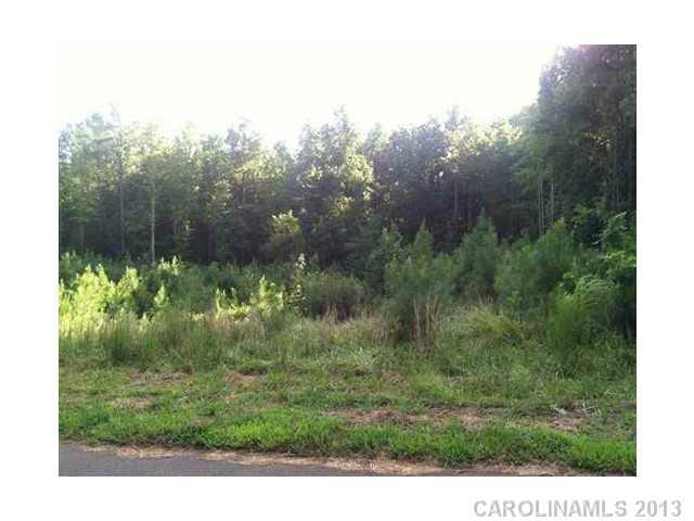 Property image 3 at 5008 Gatsby Circle, Rock Hill, SC 29732