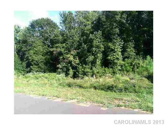 Property image 2 at 420 Shelby Ann Lane, Rock Hill, SC 29732