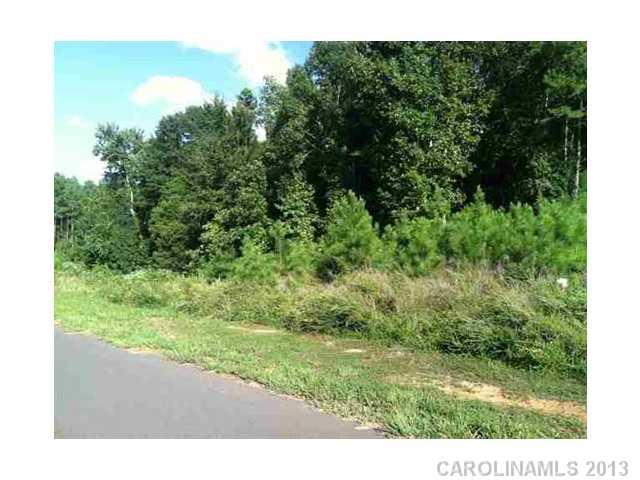 Property image 3 at 420 Shelby Ann Lane, Rock Hill, SC 29732