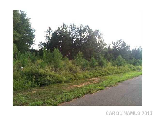 Property image 4 at 420 Shelby Ann Lane, Rock Hill, SC 29732