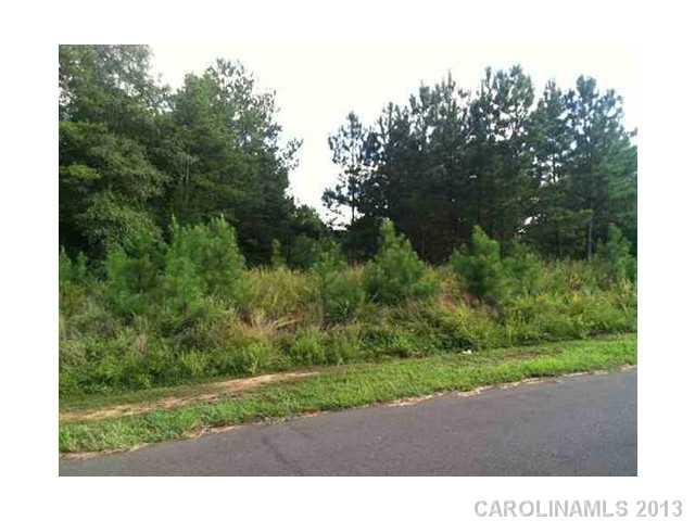 Property image 5 at 420 Shelby Ann Lane, Rock Hill, SC 29732