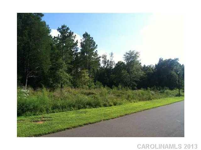 Property image 2 at 442 Shelby Ann Lane, Rock Hill, SC 29732