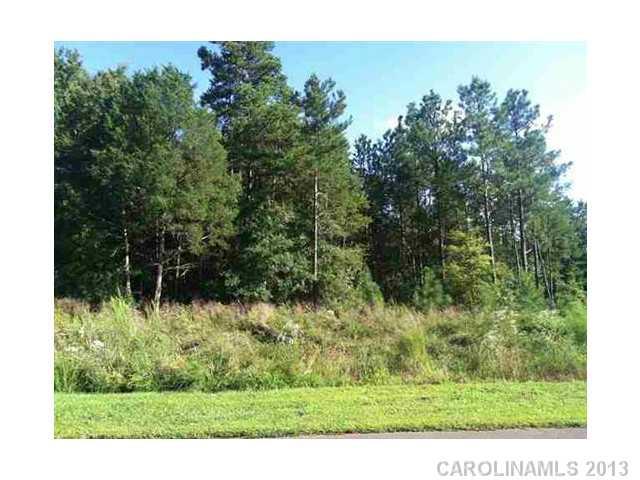 Property image 3 at 442 Shelby Ann Lane, Rock Hill, SC 29732