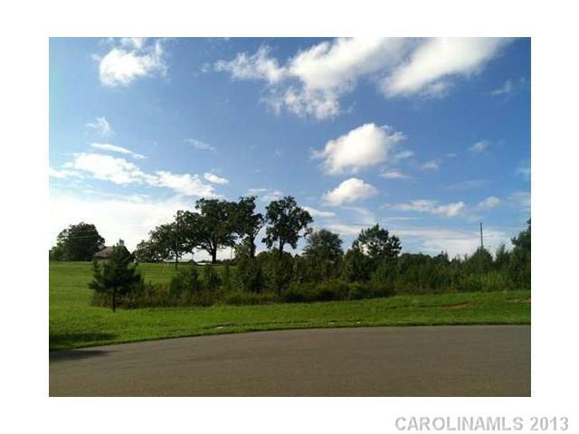 Property image 3 at 483 Shelby Ann Lane, Rock Hill, SC 29732