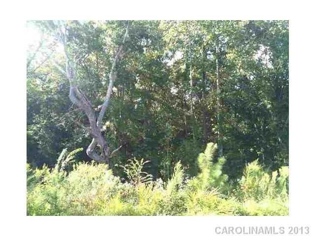 Property image 2 at 441 Shelby Ann Lane, Rock Hill, SC 29732