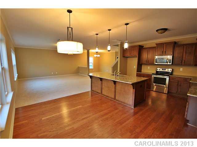 Property image 4 at 2232 Argentum Drive, Fort Mill, SC 29707