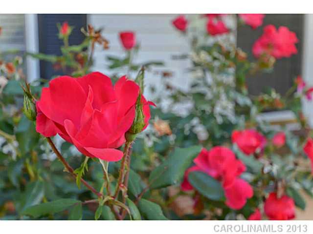 Property image 3 at 1311 Copper Creek Lane, Fort Mill, SC 29715