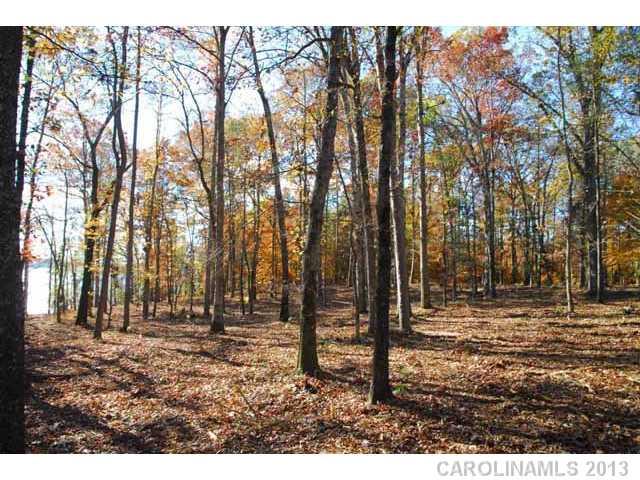 Property image 3 at Lot 13 Eagle Pointe Drive, Norwood, NC 28128