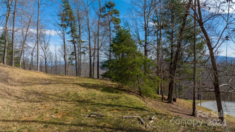 Property image 3 at 120 Ben Lippen School Road, Asheville, NC 28806