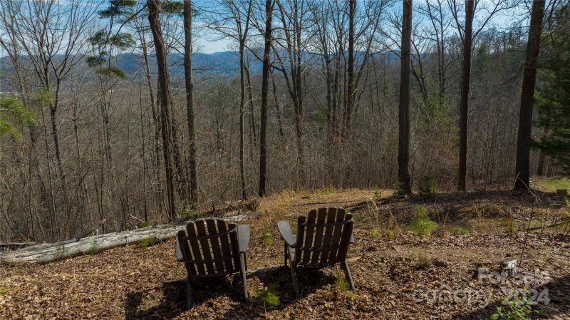 Property image 4 at 120 Ben Lippen School Road, Asheville, NC 28806