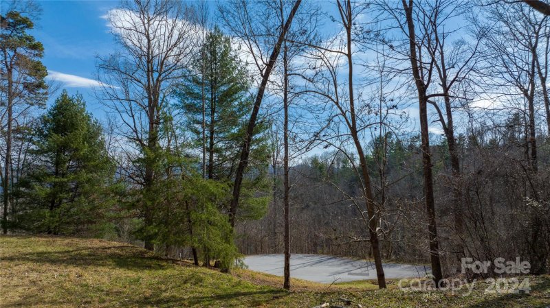 Property image 5 at 120 Ben Lippen School Road, Asheville, NC 28806