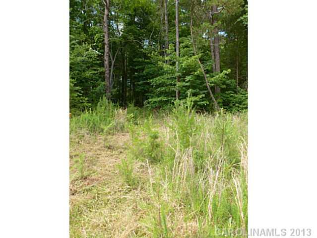 Property image 5 at Lot 19 Cannon Court, Iron Station, NC 28080