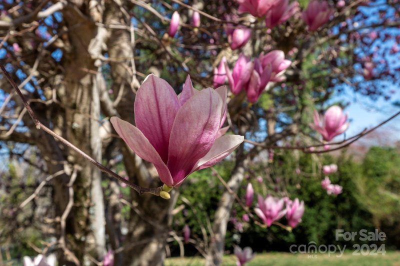 Property image 5 at 216 Stradley Mountain Road, Asheville, NC 28806