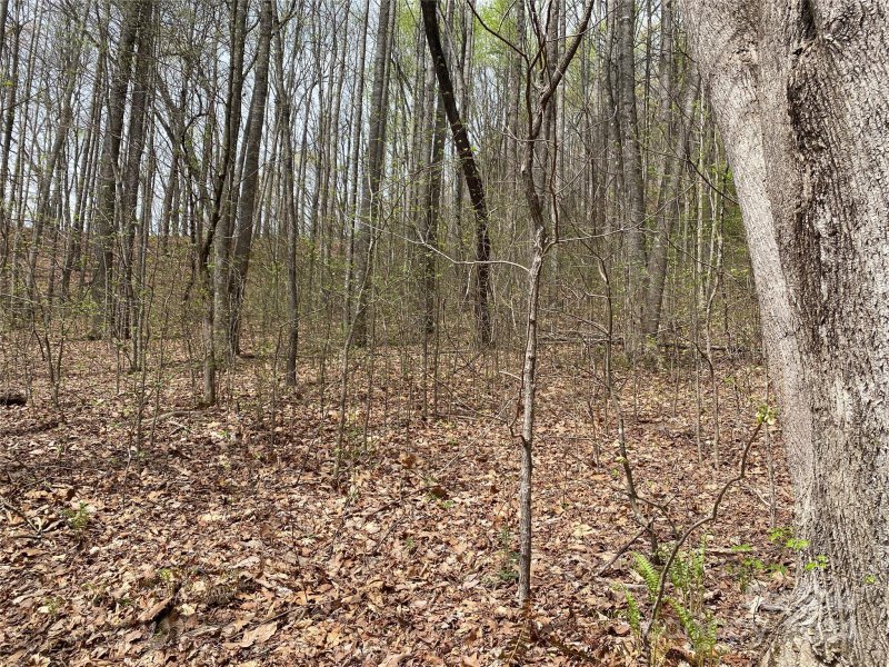 Property image 3 of 216 Cottage Side Trail in The Cliffs Valley, Travelers Rest, SC 29690