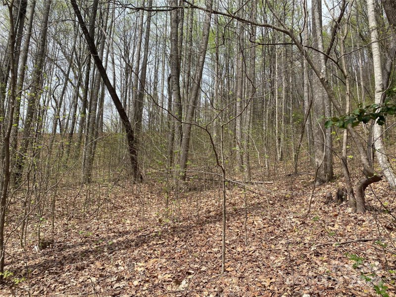Property image 5 of 216 Cottage Side Trail in The Cliffs Valley, Travelers Rest, SC 29690