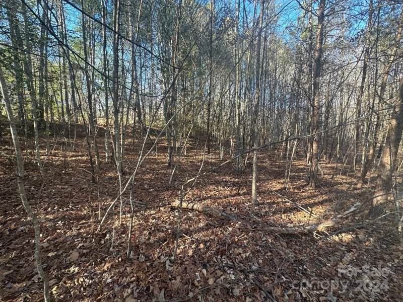 Property image 4 of 0000 Pine Cone Trail in Black Rock Falls, Rutherfordton, NC 28139