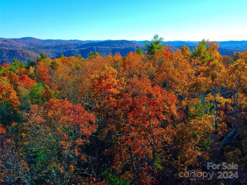 Dogwood Mountain Estates, Penrose Community
