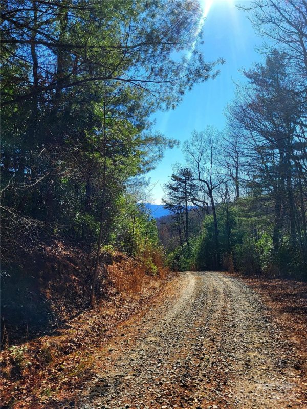 Property image 2 of Lot D1 And D2 000 Dogwood Lane in Dogwood Mountain Estates, Penrose, NC 28766