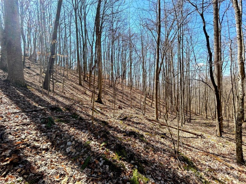 Property image 3 of Lot 15 Red Wolf Run in Red Wolf Run, Mars Hill, NC 28754
