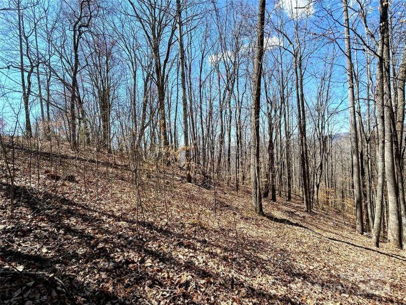 Property image 4 of Lot 15 Red Wolf Run in Red Wolf Run, Mars Hill, NC 28754