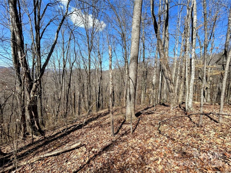 Property image 5 of Lot 15 Red Wolf Run in Red Wolf Run, Mars Hill, NC 28754