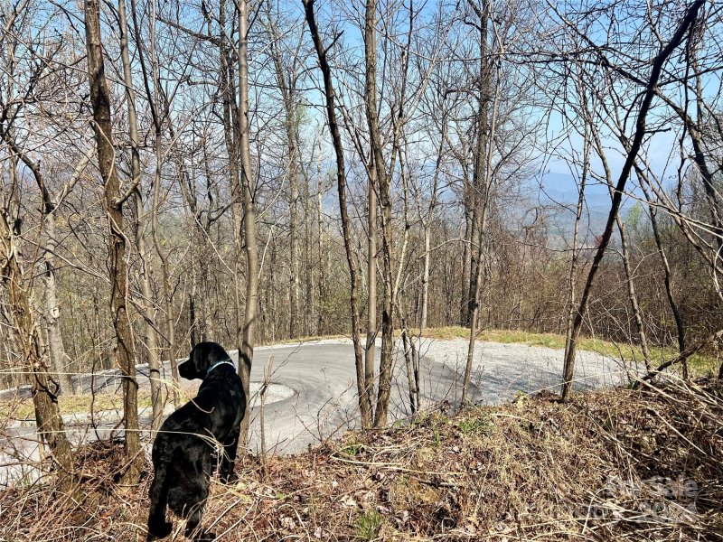 858 Mitchell View Drive