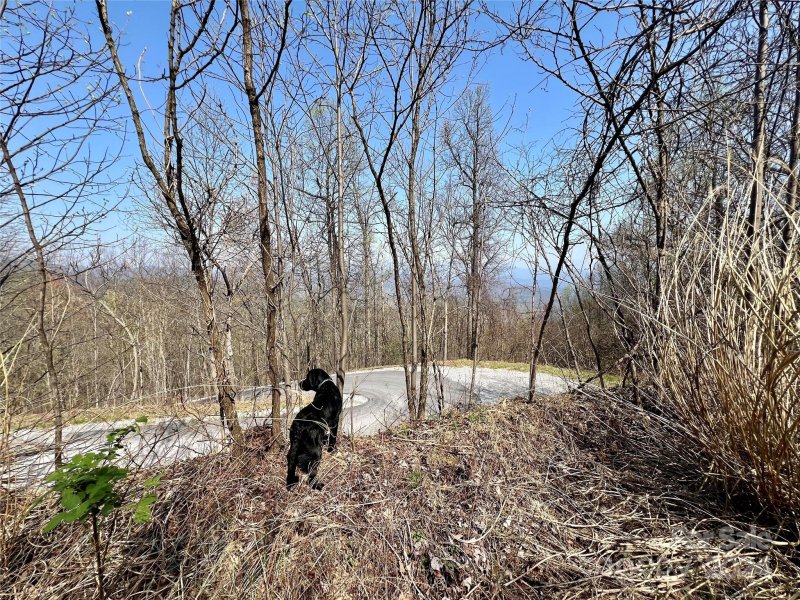 Property image 2 of 858 Mitchell View Drive in Gateway Mountain, Old Fort, NC 28762