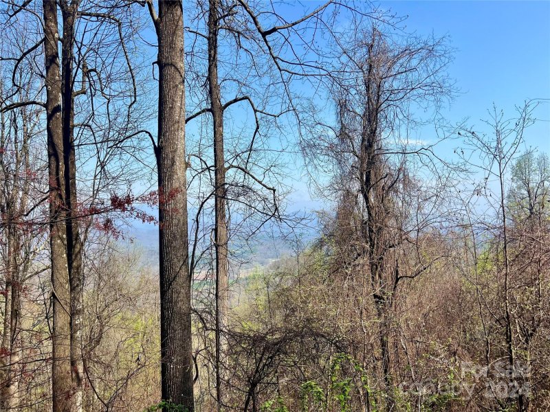 Property image 3 of 858 Mitchell View Drive in Gateway Mountain, Old Fort, NC 28762