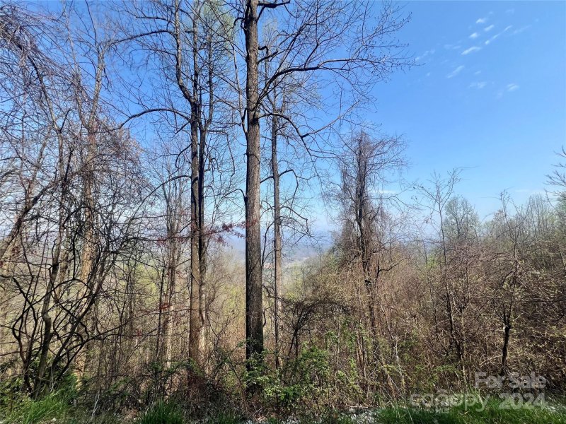 Property image 4 of 858 Mitchell View Drive in Gateway Mountain, Old Fort, NC 28762