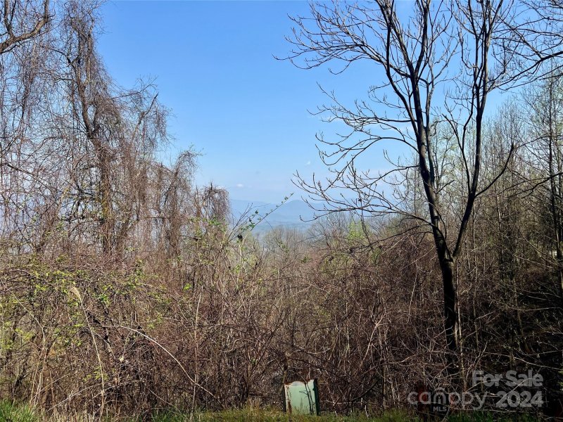 Property image 5 of 858 Mitchell View Drive in Gateway Mountain, Old Fort, NC 28762