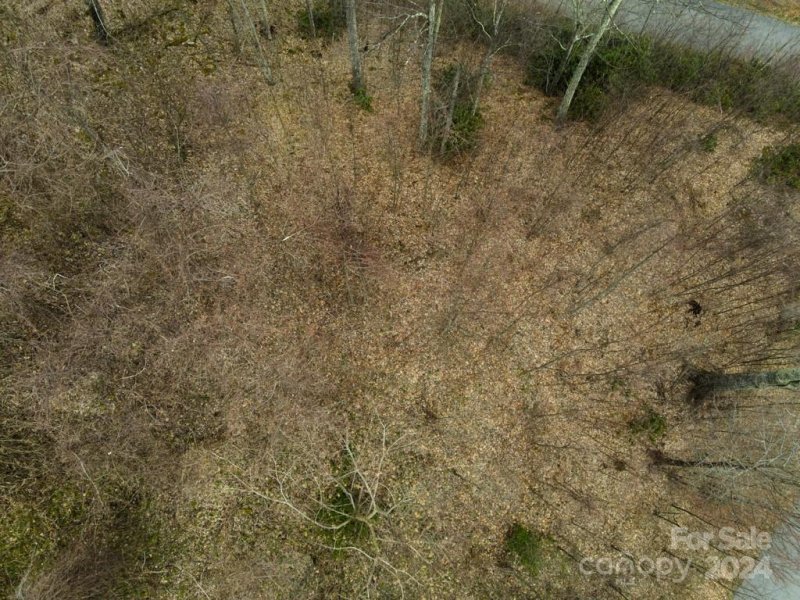 Property image 4 of 17 Surya Lane in Mount Soma, Clyde, NC 28721