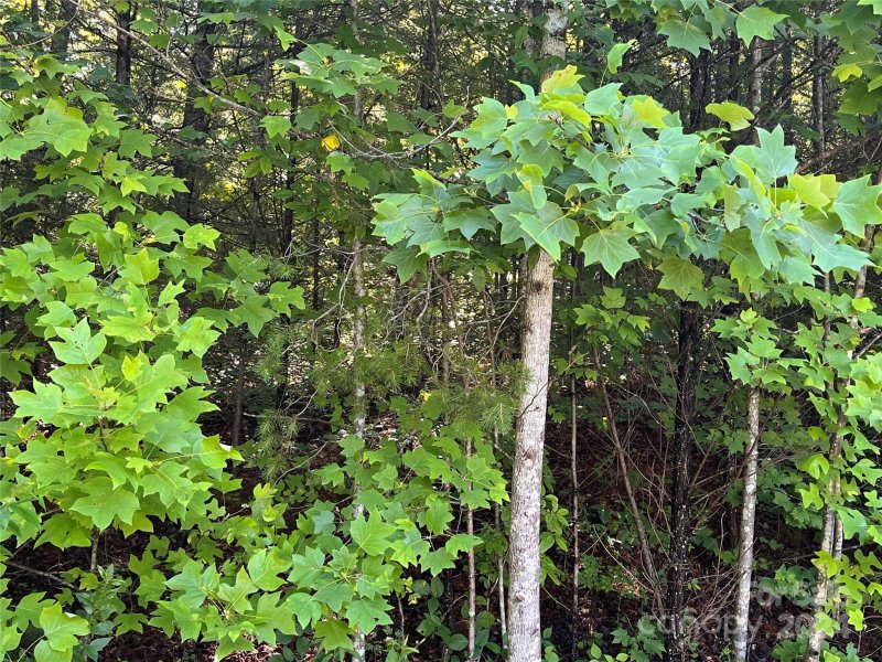 Property image 2 at V L 8 Westview Drive, Marion, NC 28752