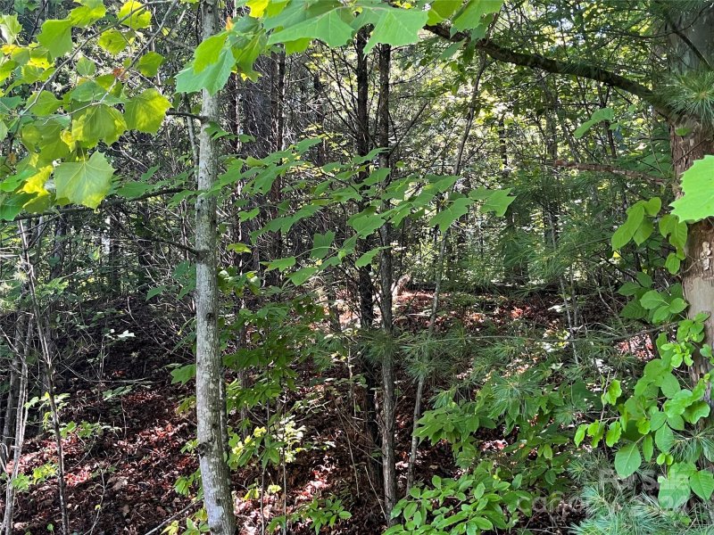 Property image 3 at V L 8 Westview Drive, Marion, NC 28752