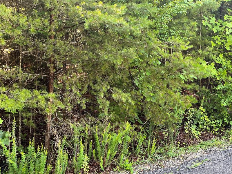 Property image 4 at V L 8 Westview Drive, Marion, NC 28752