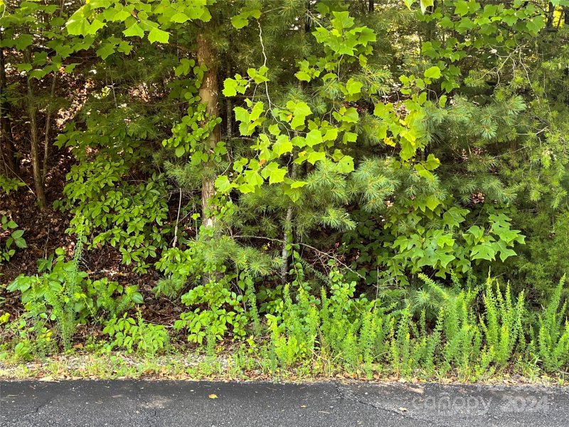 Property image 5 at V L 8 Westview Drive, Marion, NC 28752