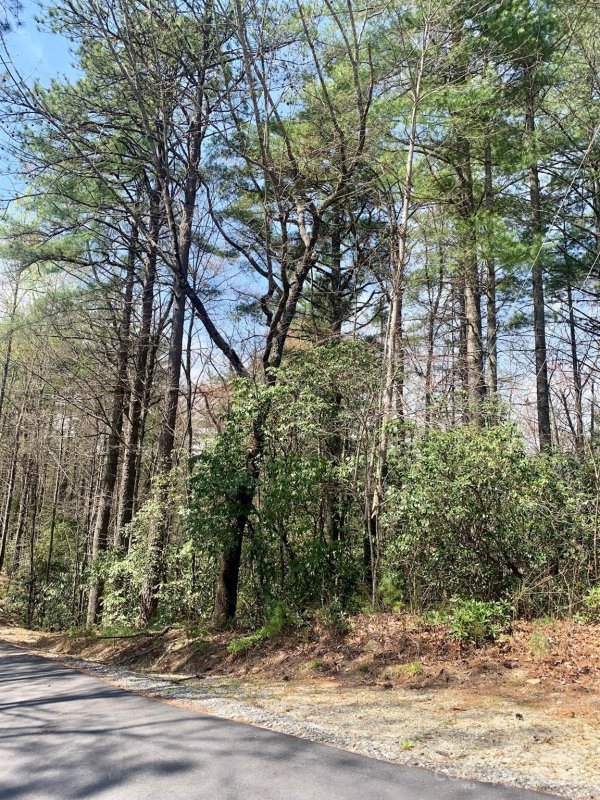 Property image 2 at Lot 30 Oak Ridge Drive, Brevard, NC 28712