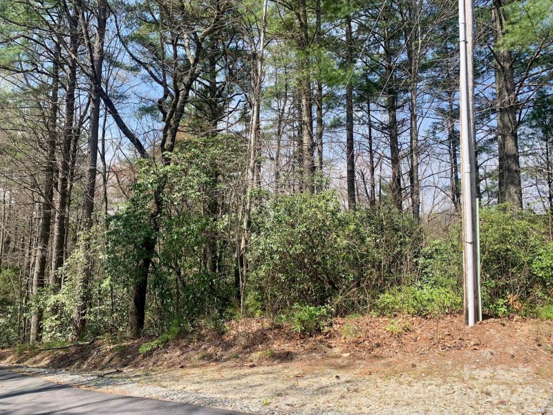 Property image 3 at Lot 30 Oak Ridge Drive, Brevard, NC 28712